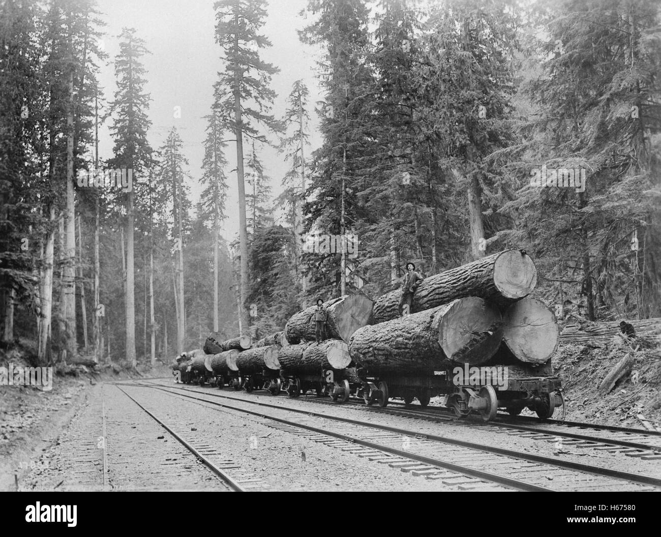 Log Train, Washington, USA, John D. Cress für Farm Security Administration, 1935 Stockfoto