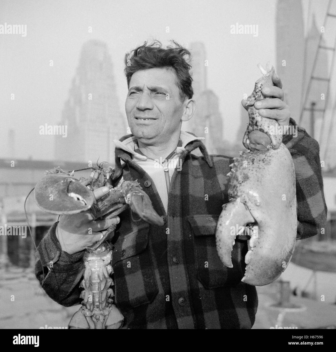 Dock Stevedore hält Giant Lobster Claw, Fulton Fish Market, New York City, New York, USA, Gordon Parks für Office of War Information, Mai 1943 Stockfoto