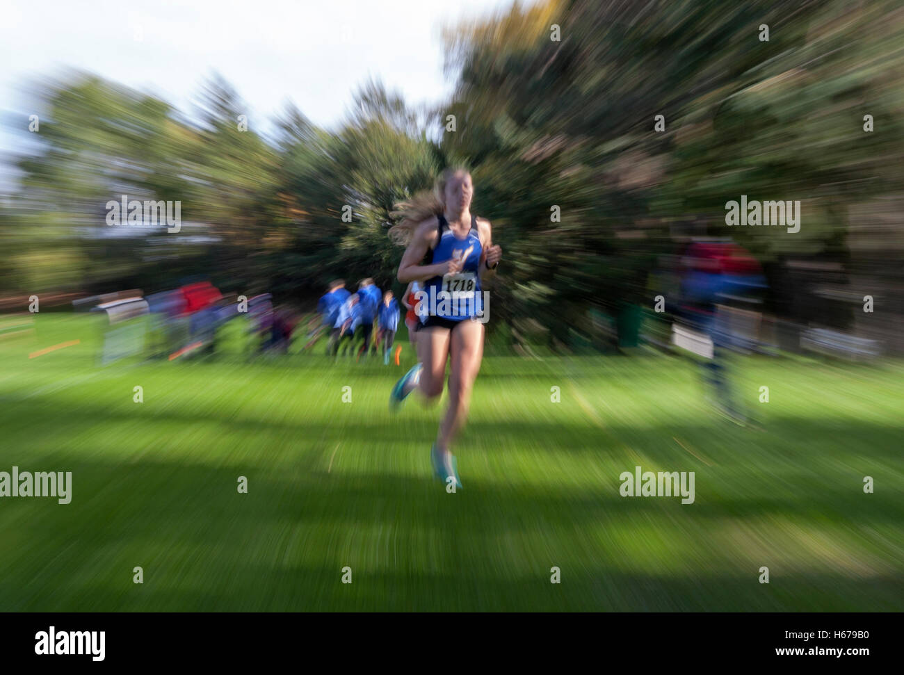 Läufer in einem Wisconsin High School Girls' Cross Country Schnitttreffen. Stockfoto