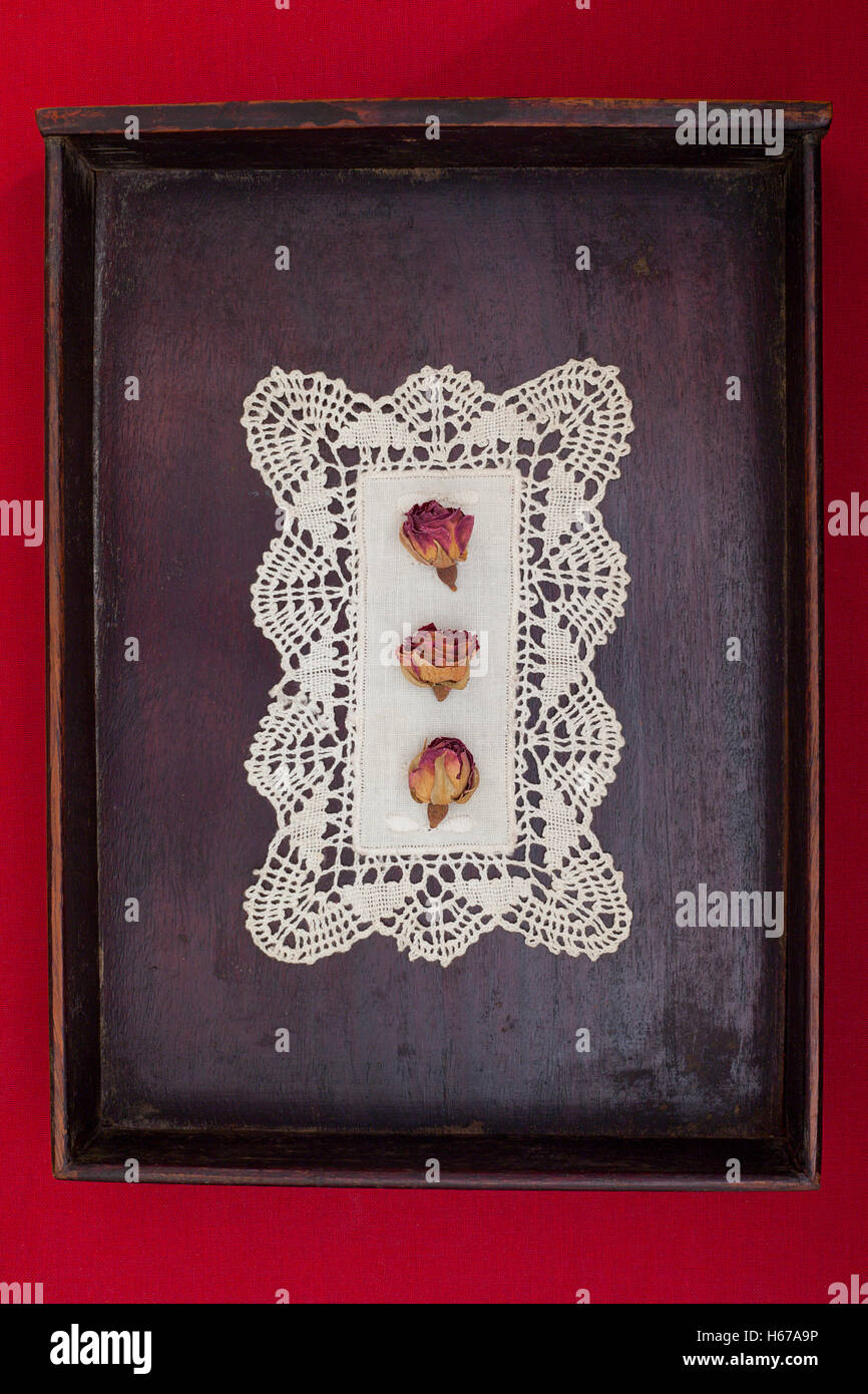 Drei China Roses auf Spitze Deckchen in Holzkiste Stockfoto