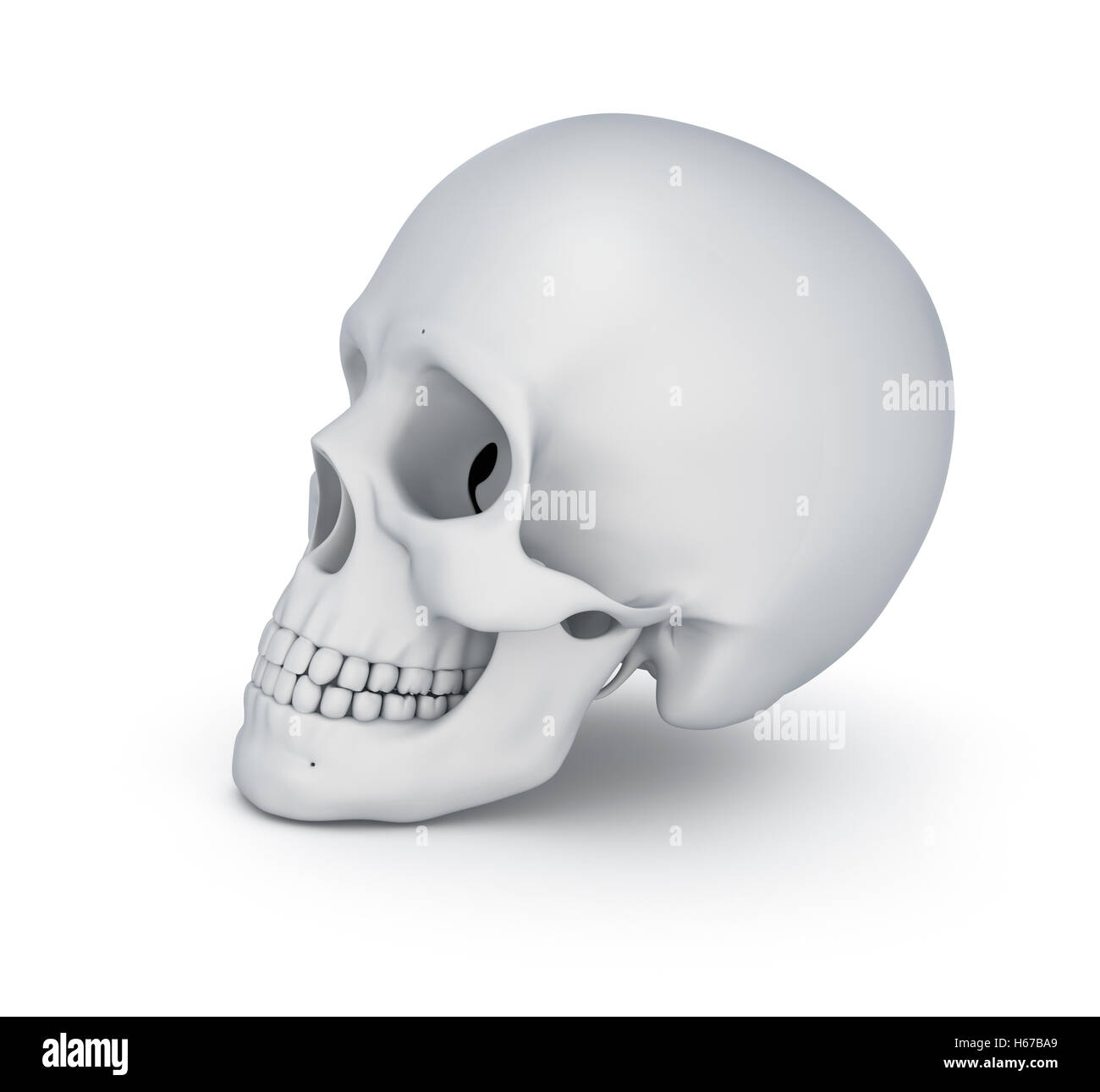 Weißer Schädel über weiße, 3D illustration Stockfoto