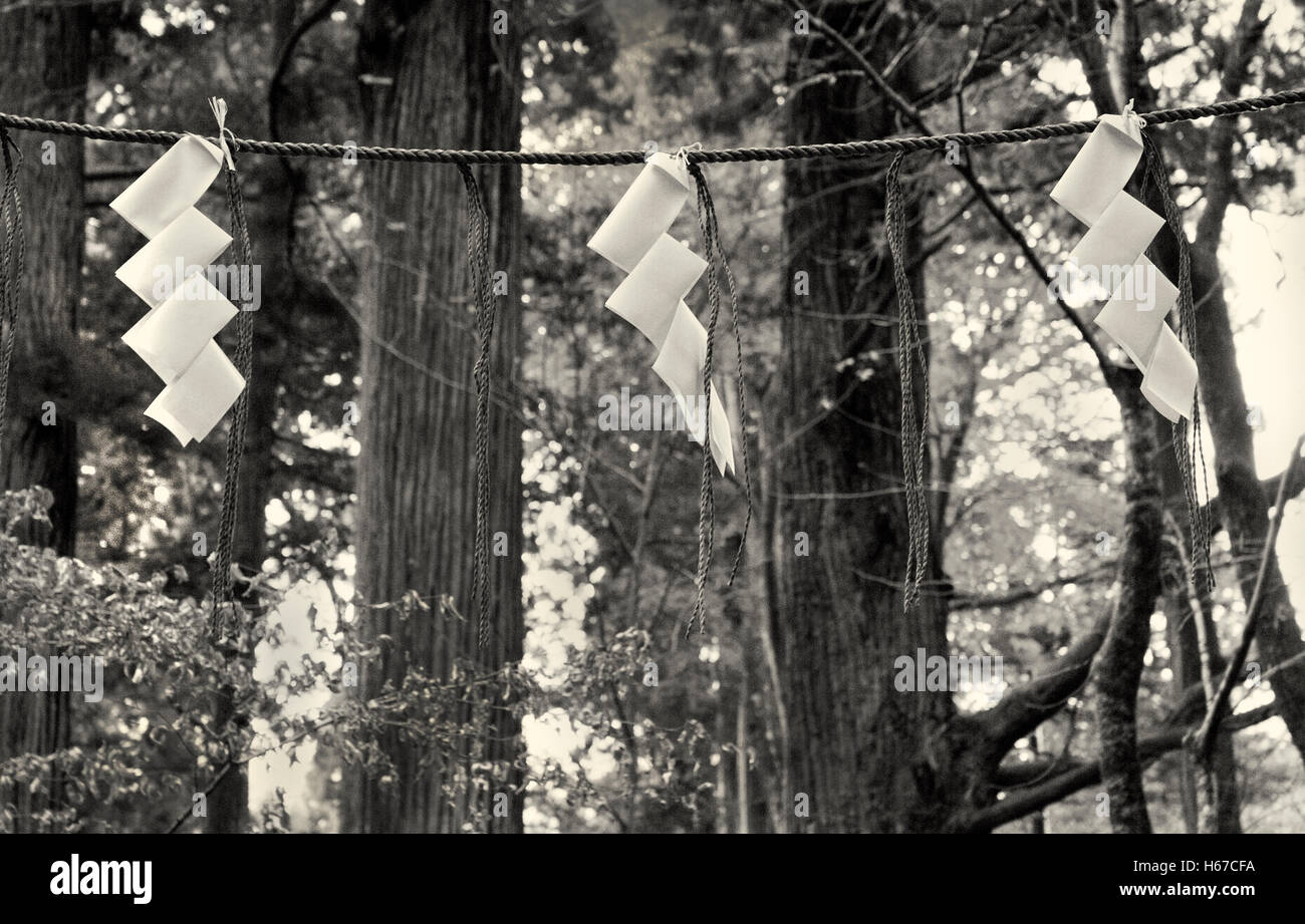Papier-Zeichen symbolisiert Blitz an Takinoo Shinto-Schrein Stockfoto