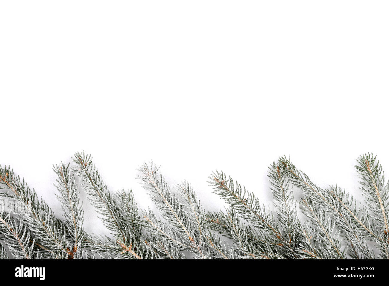 Weihnachten Dekoration Tanne Schnee Winter isoliert auf weißem Hintergrund Stockfoto