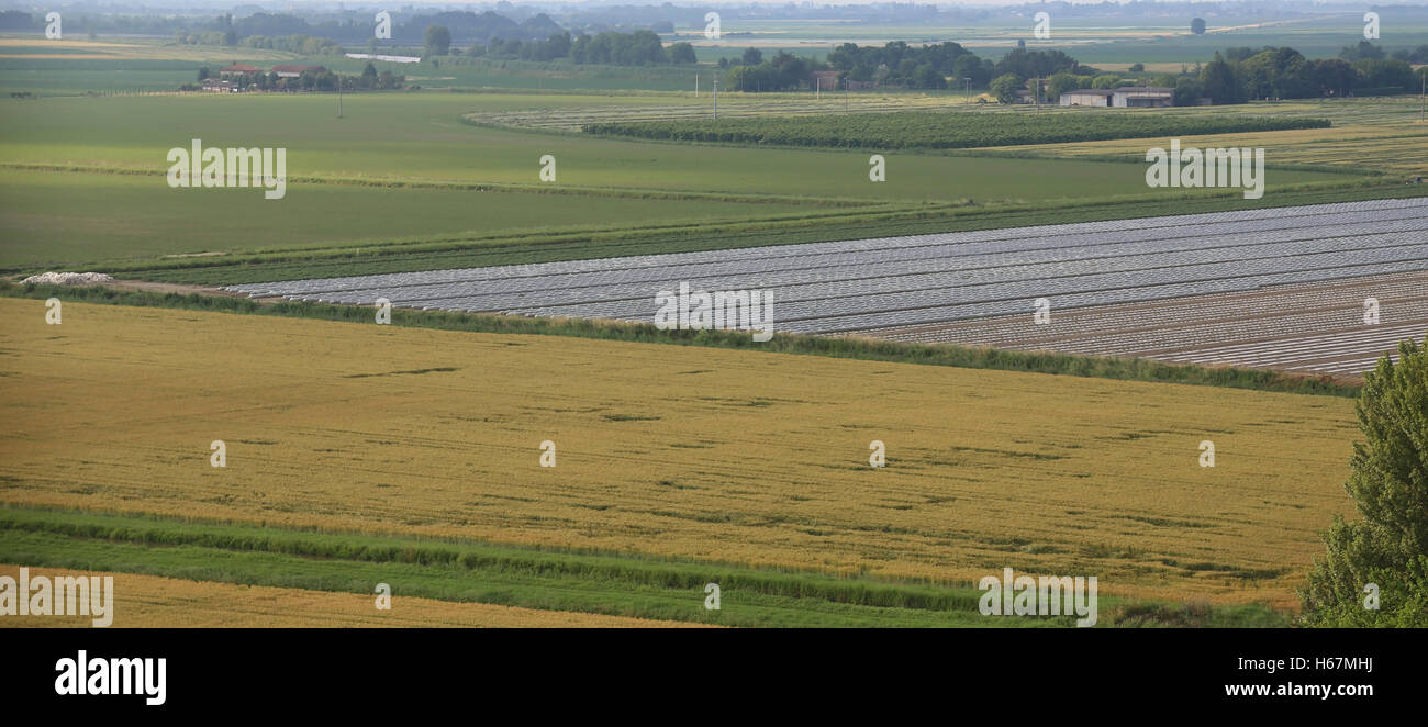 Panorama von Äckern in der weiten Poebene in Mittelitalien Stockfoto