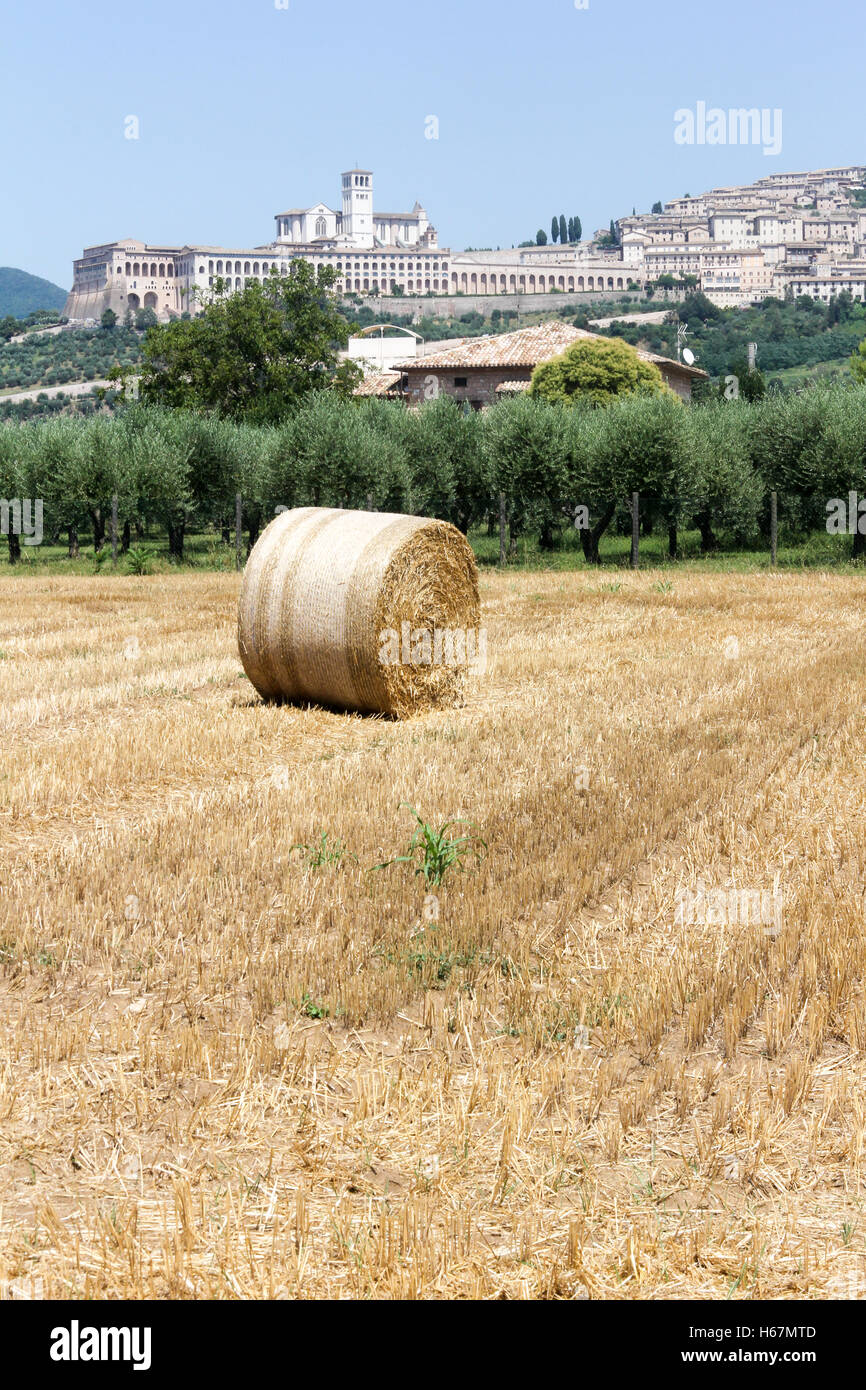 Abtei Di San Pietro von Heu-Feld in Assisi, Italien Stockfoto