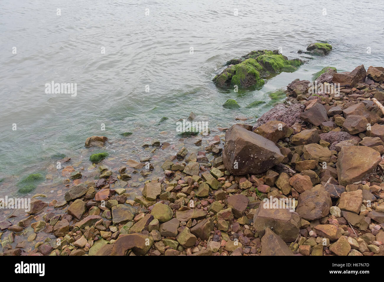 Taacrgngm, grün, Natur, Hintergrund, Muster, niemand, abstrakt, rock, alt, Oberfläche, Sommer, Textur, weiß, Bild, Blatt, Baum, Stockfoto