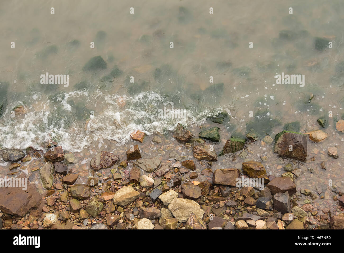 Taacrgngm, grün, Natur, Hintergrund, Muster, niemand, abstrakt, rock, alt, Oberfläche, Sommer, Textur, weiß, Bild, Blatt, Baum, Stockfoto