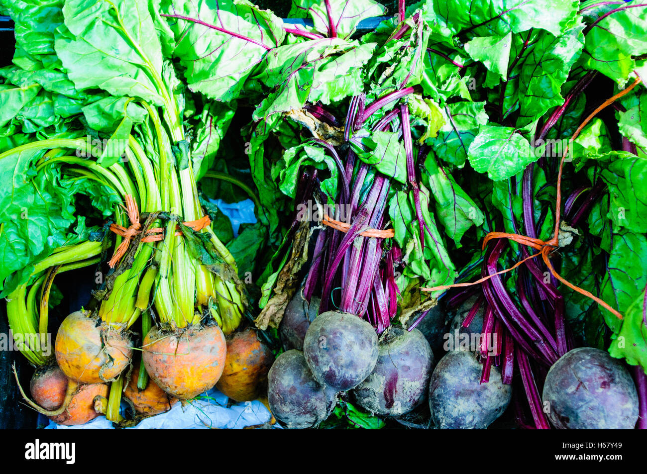 Rote und gelbe Rüben zum Verkauf an einem Marktstand. Stockfoto