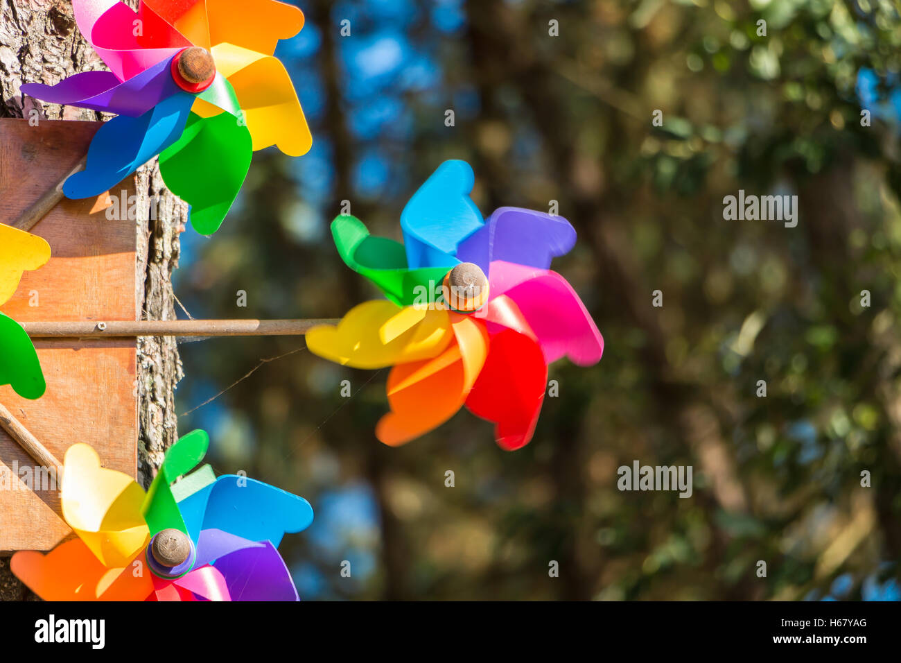 Windrad Spielzeug hängen von einem Baum im Wald Stockfoto
