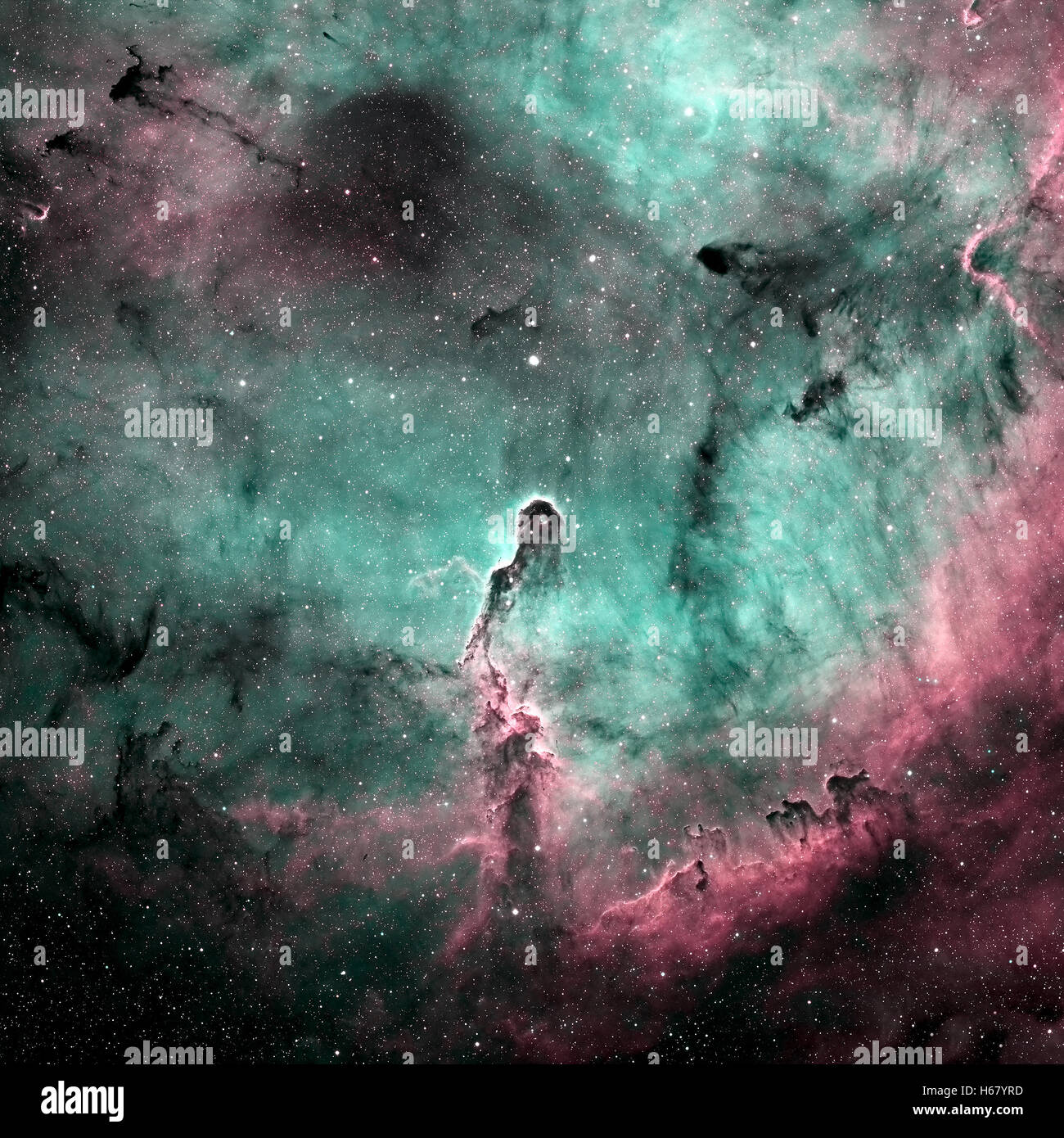 Der Elephant Trunk Nebula ist eine Konzentration von interstellarem Gas und Staub in IC 1396. Befindet sich im Sternbild Kepheus. Stockfoto