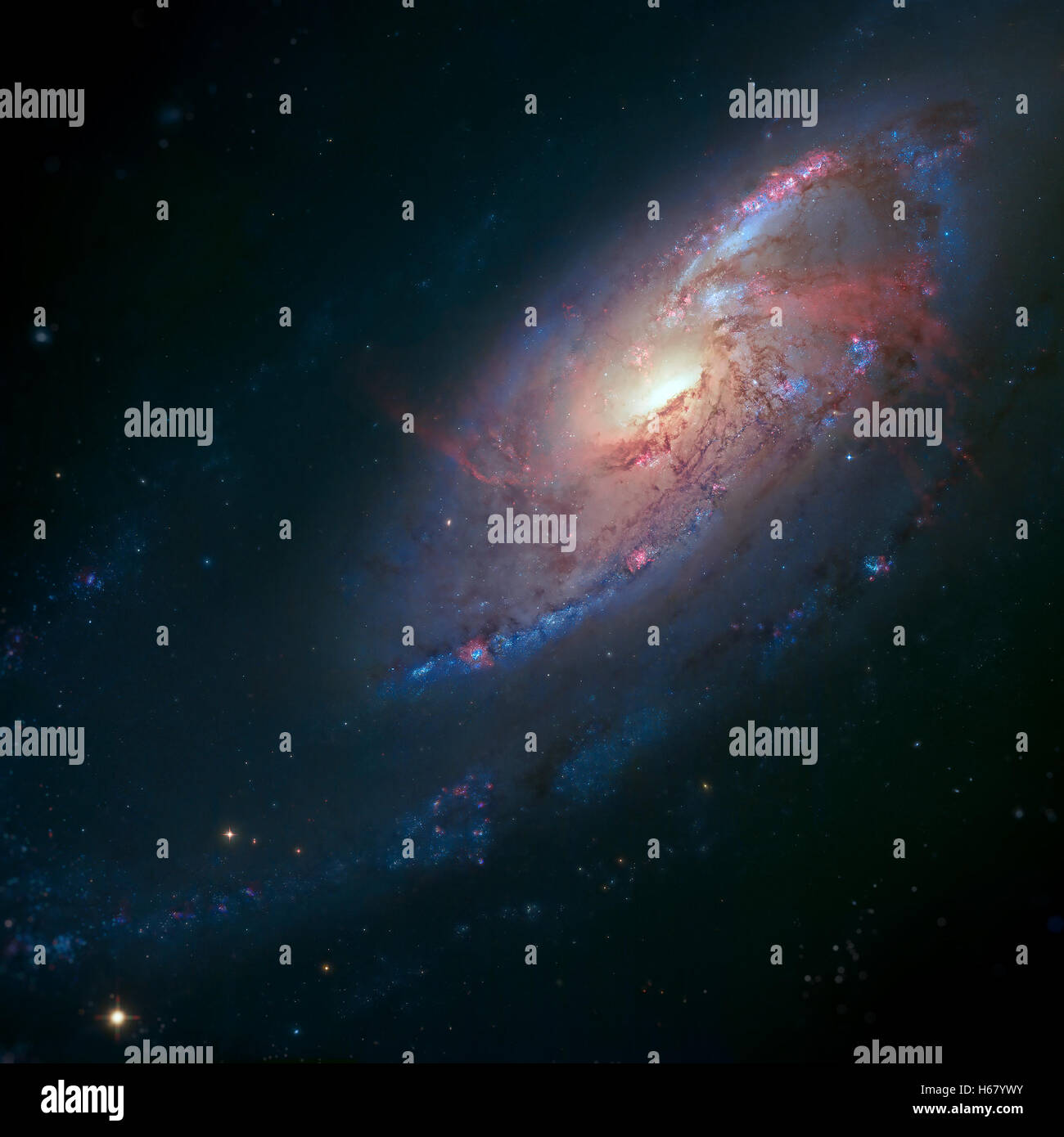Messier 106 ist eine Spiralgalaxie im Sternbild Canes Venatici. Supermassive schwarze Loch im Zentrum. Stockfoto