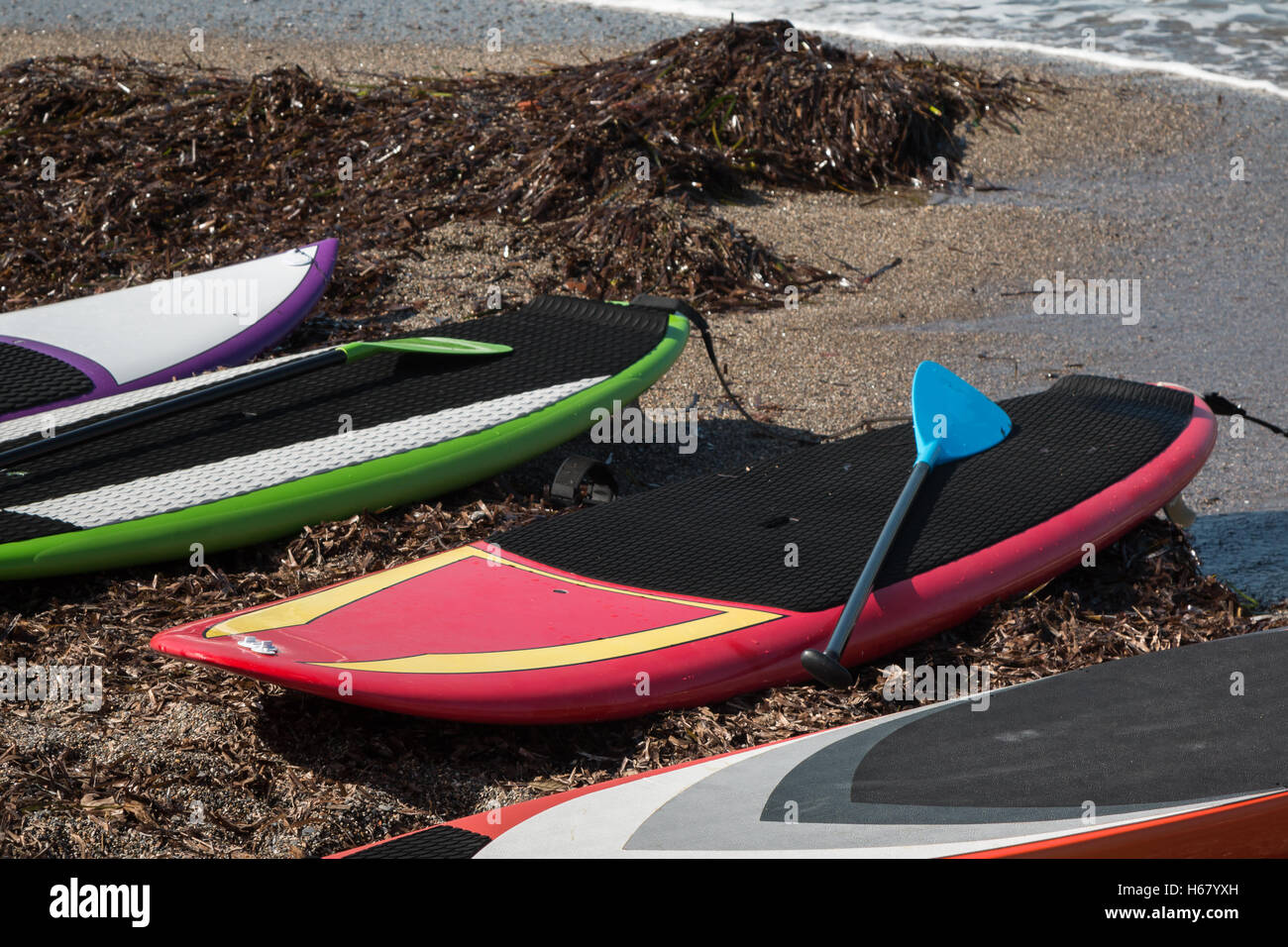 Bunte Platten für Stand up Surfen am Strand mit Rudern bezeichnet Stockfoto