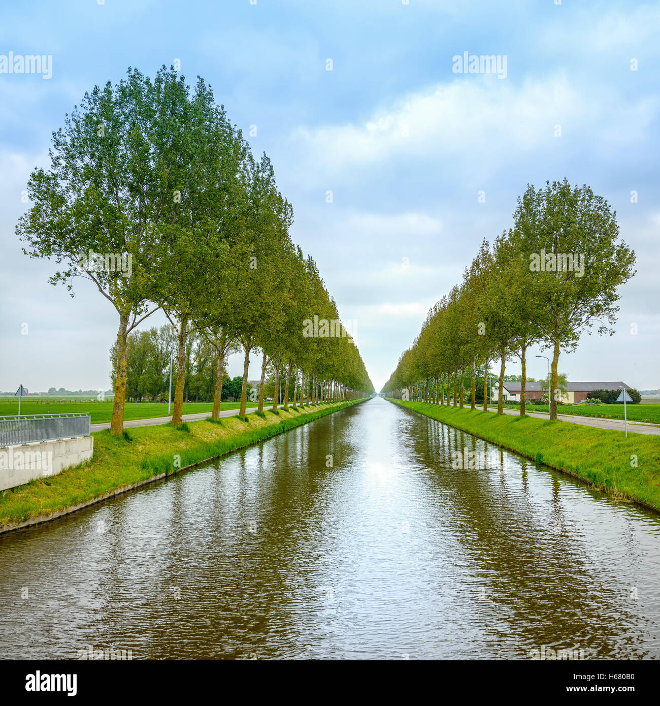 Baumreihen an den Kanal Seiten und Reflexion auf dem Wasser in der Nähe von Amsterdam. Niederlande. Europa. Stockfoto