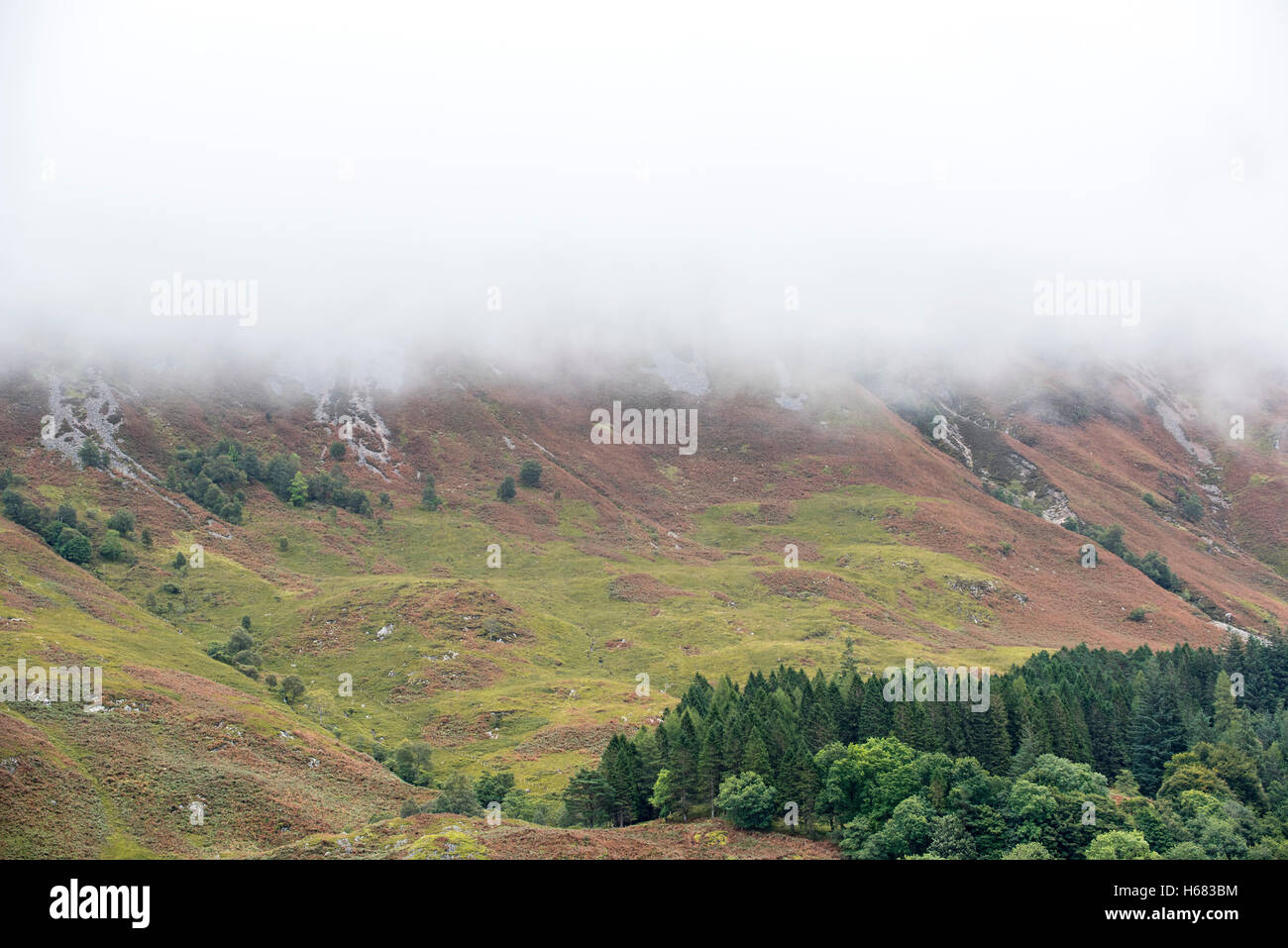 Regenwolke bilden dichten Nebels Abstieg vom steilen Hang des Bidean Nam Bian in Glen Coe, Argyll, Schottisches Hochland, Schottland Stockfoto