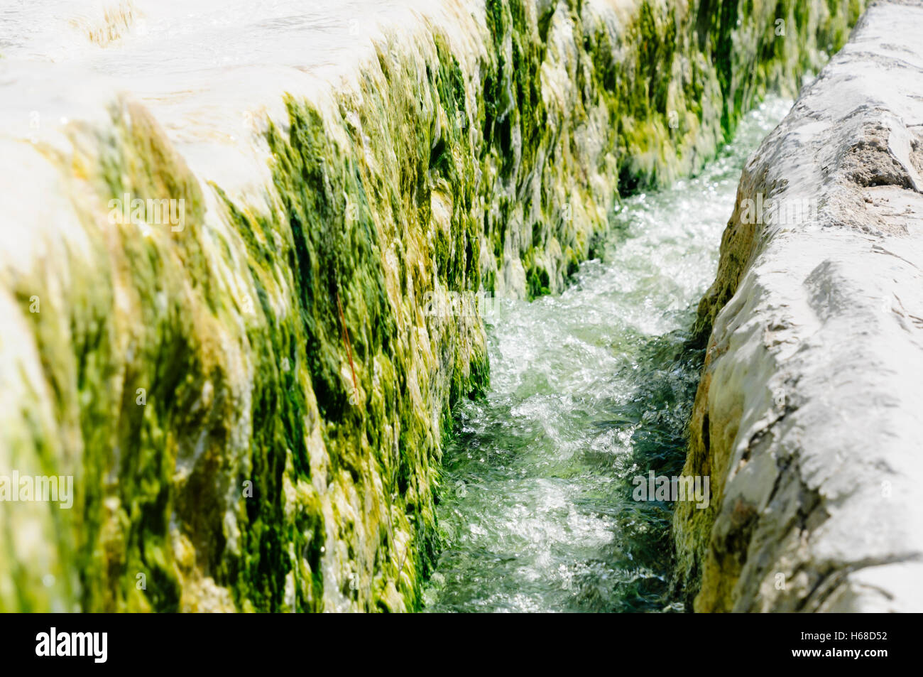 Algen wachsen entlang eines Kanals mit Warmwasser an den Thermalquellen in Pamakkule, Türkei Stockfoto