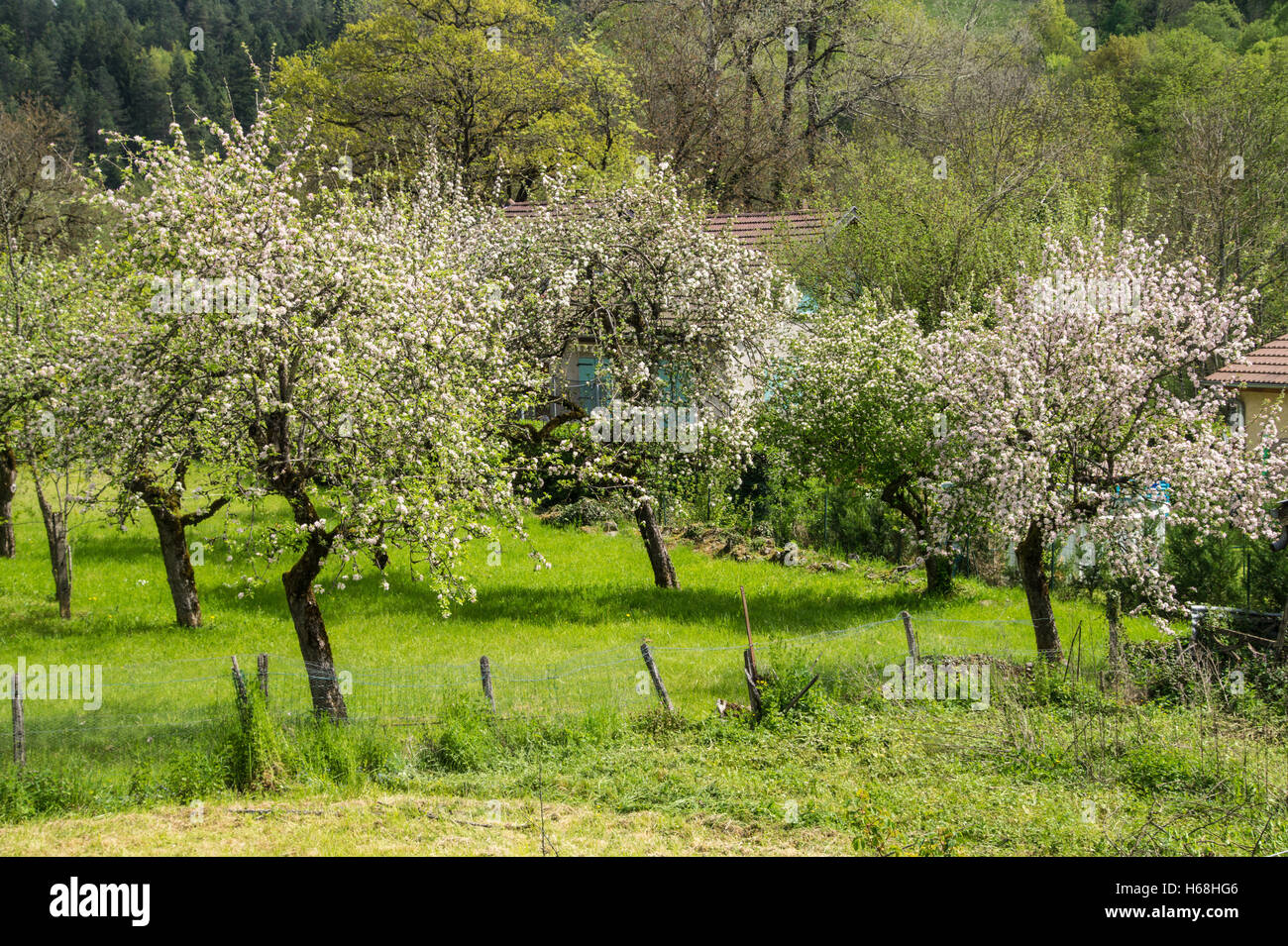 Ain, Frankreich Stockfoto