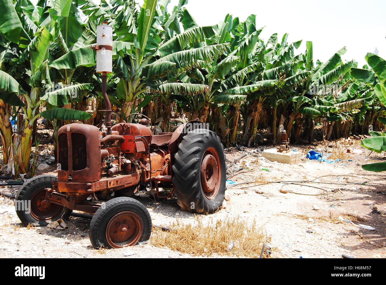 rostigen alten Traktor Stockfoto