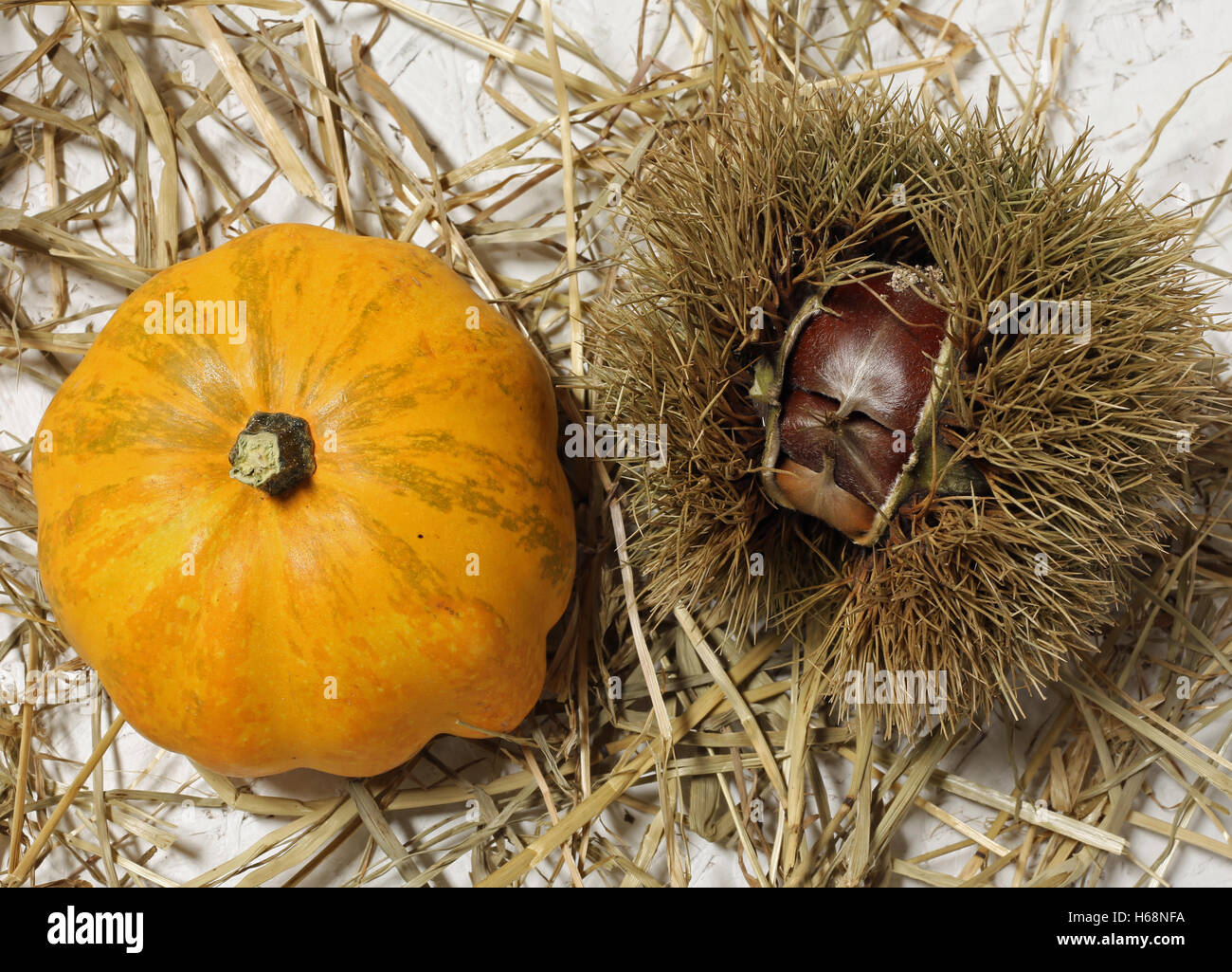 Orange Kürbis und Kastanien sind die typischen Früchte des Herbstes Stockfoto