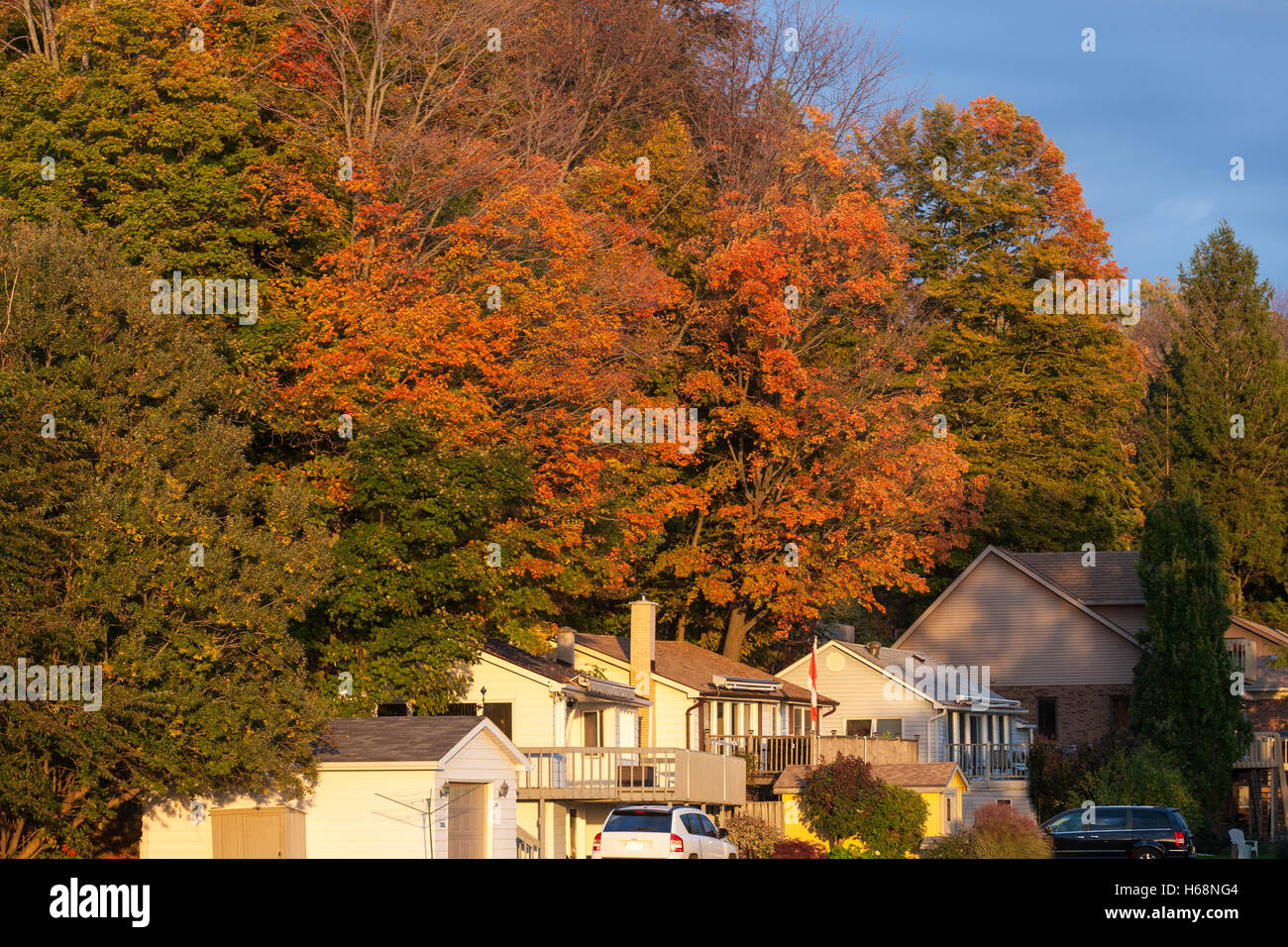 Eine Auflistung der Häuser und Hütten, die abgeschieden von Bäumen, die in der Mitte ihrer Herbst Blüte sind. Stockfoto