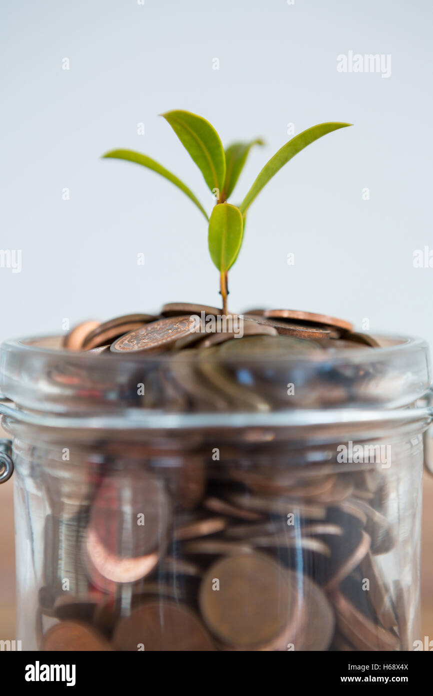 Pflanze wächst aus Münzen Glas Stockfoto