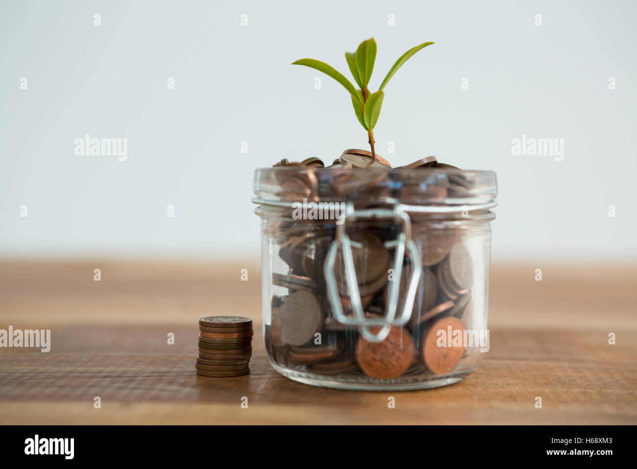 Pflanze wächst aus Münzen Glas Stockfoto