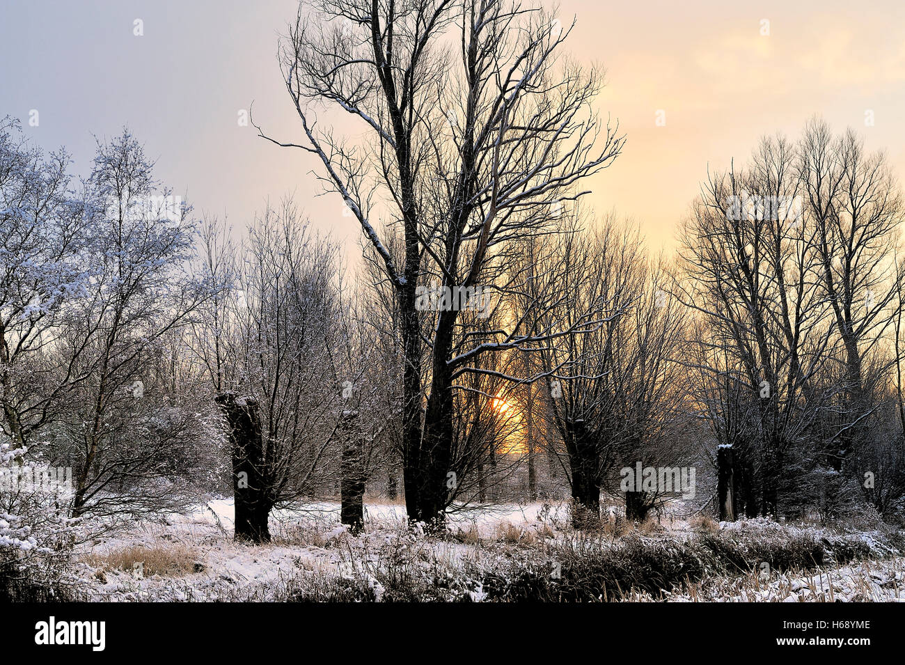 Schneelandschaft, Kornmühle Wiese, England, Vereinigtes Königreich, Europa Stockfoto