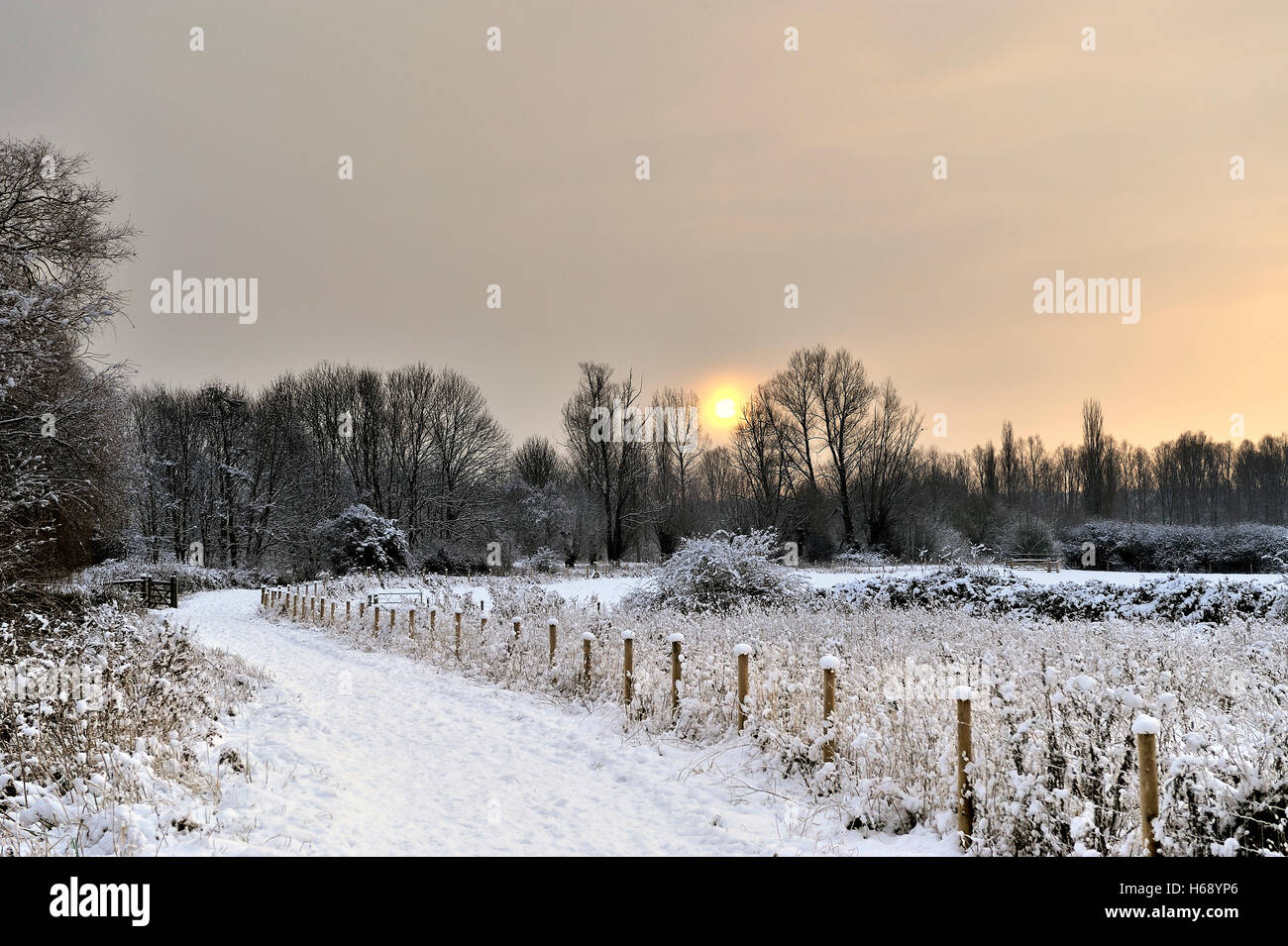 Schneelandschaft, Kornmühle Wiese, England, Vereinigtes Königreich, Europa Stockfoto