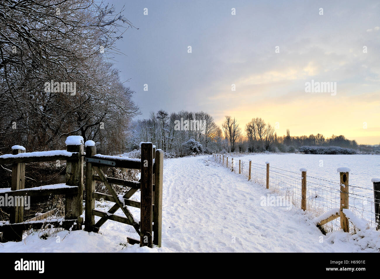 Schneelandschaft, Kornmühle Wiese, England, Vereinigtes Königreich, Europa Stockfoto