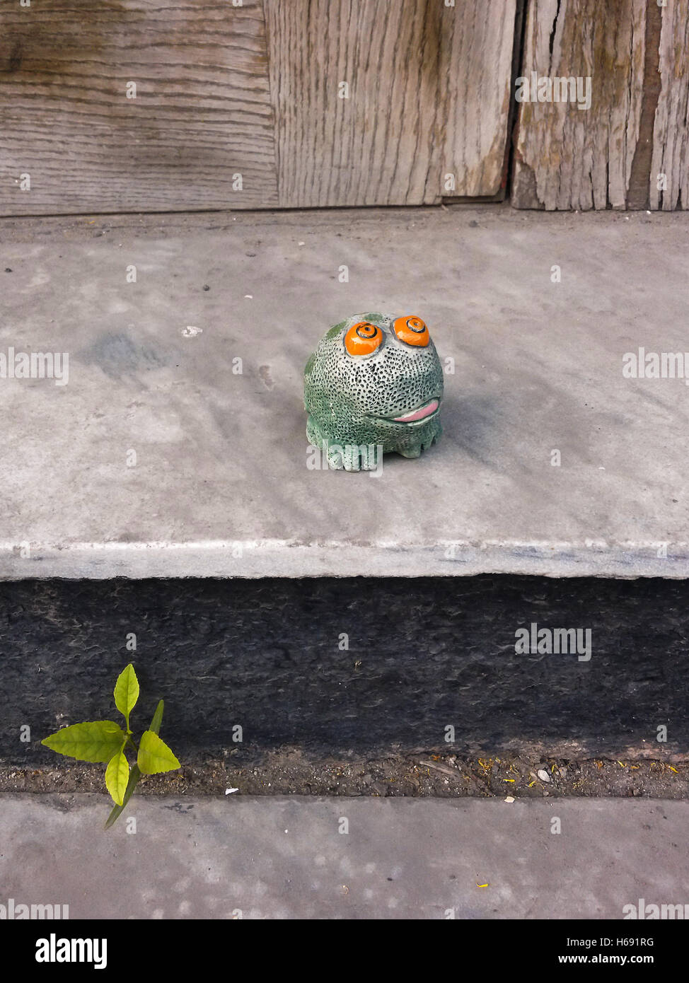 Spielzeug Frosch sitzt auf der Veranda Contry. Stockfoto