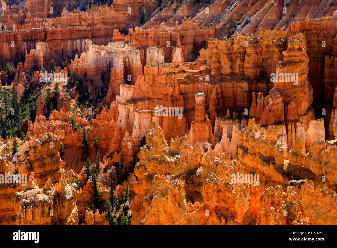 Das Sonnenlicht macht die roten Felsformationen Glühen von der Sunset Point Overlook in Bryce Canyon Nationalpark Utah USA gesehen Stockfoto