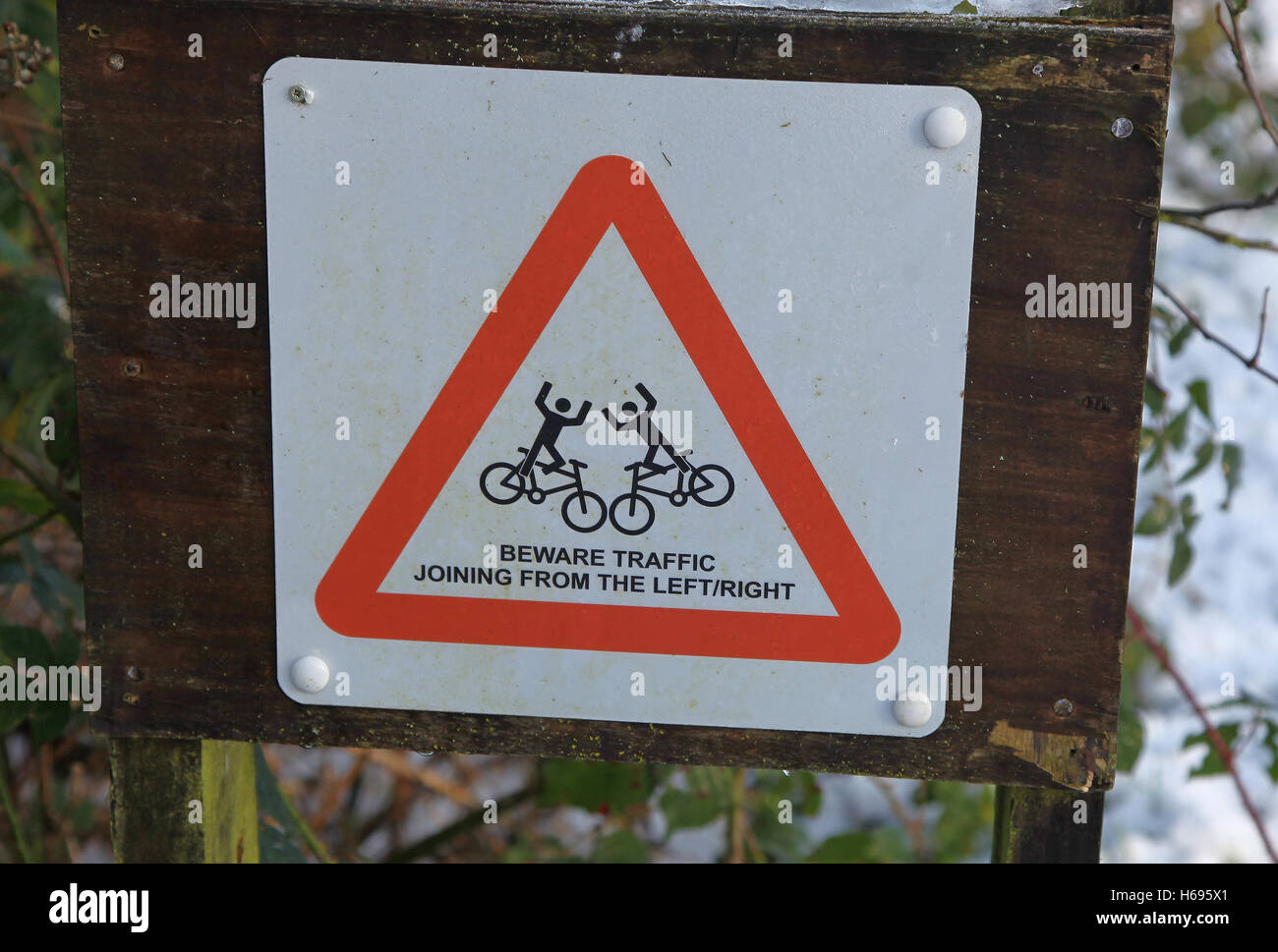 Ein Schild Warnung Radfahrer des Verkehrs an der Strecke von links oder rechts Stockfoto