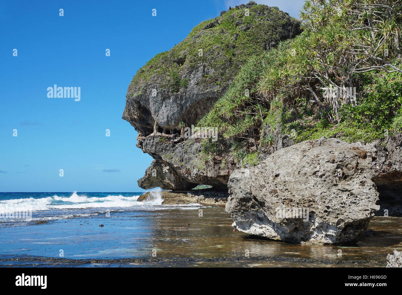 Erodierte Felsenküste mit Naturgebilde, das aussieht wie ein Monster Kopf, Rurutu Insel, Pazifik, Französisch-Polynesien Stockfoto