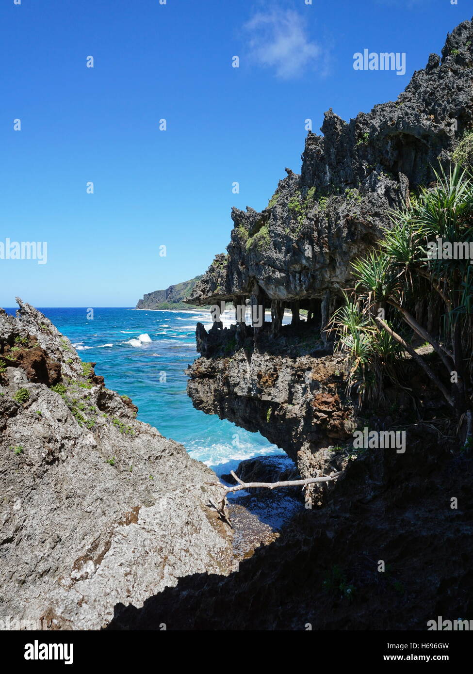 Erodierte Kalksteinfelsen, die aussieht wie Monster Mund auf der Küste von Rurutu Insel, Pazifik, Austral, Französisch-Polynesien Stockfoto