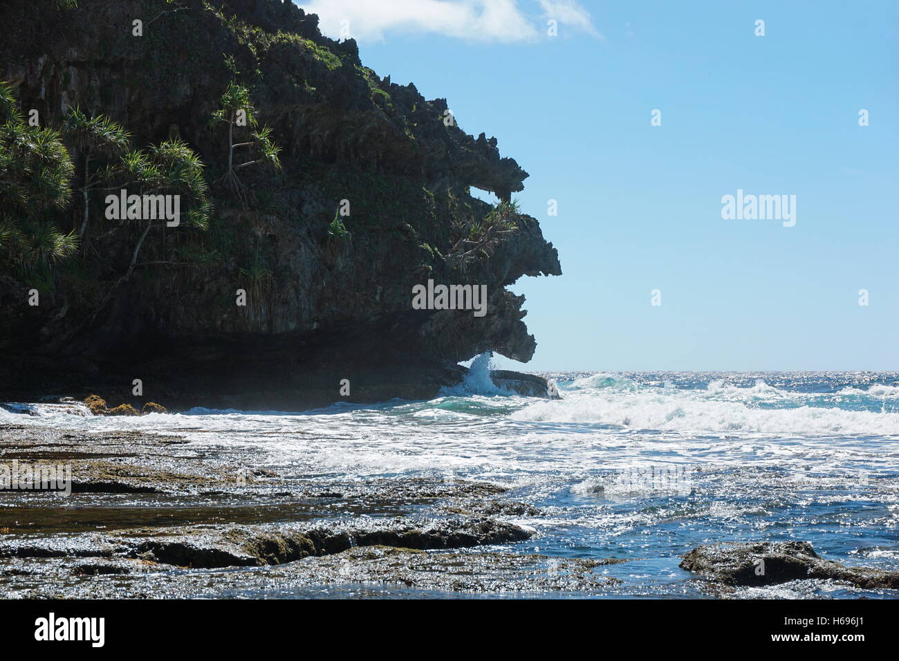 Erodierte Kalksteinfelsen, die aussieht wie ein Monster-Kopf auf der Küste von Rurutu Insel, Pazifik, Austral, Französisch-Polynesien Stockfoto