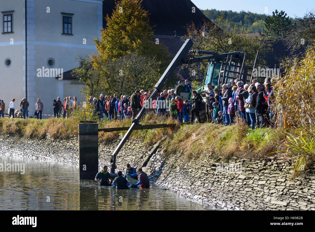 Fischteich D Stockfotos und -bilder Kaufen - Alamy