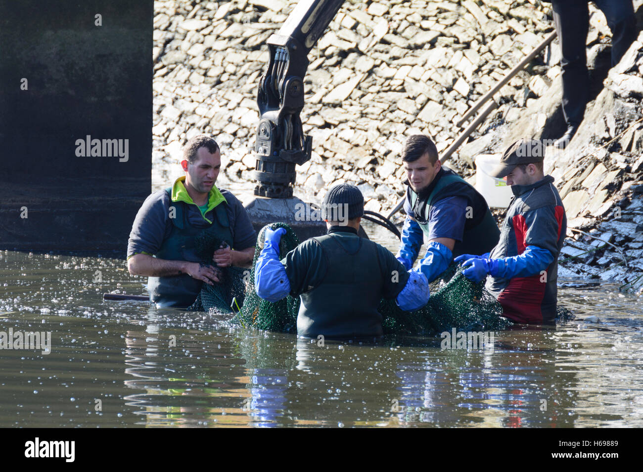 Geras: Geras Abbey, Teich Klosterteich, Fisch-Teich trocken für Karpfen, Fischer, Fischer, Waldviertel, Niederösterreich, Niederösterreich, Stockfoto