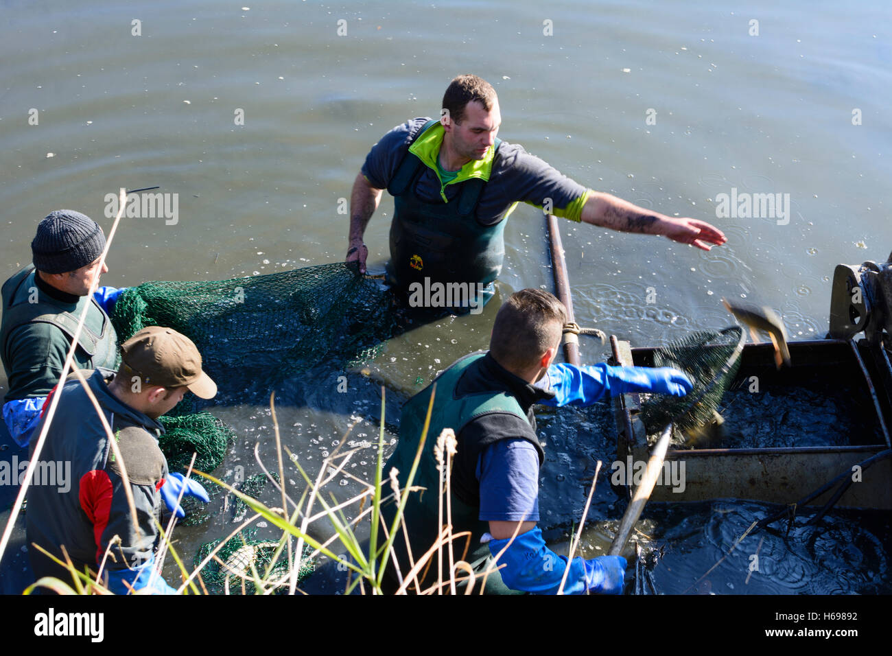 Geras: Geras Abbey, Teich Klosterteich, Fisch-Teich trocken für Karpfen, Fischer, Fischer, Waldviertel, Niederösterreich, Niederösterreich, Stockfoto