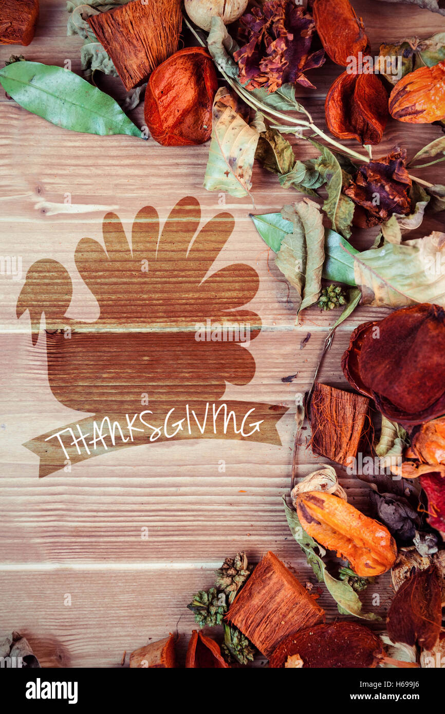 Zusammengesetztes Bild der Silhouette der Türkei Vogel Stockfoto