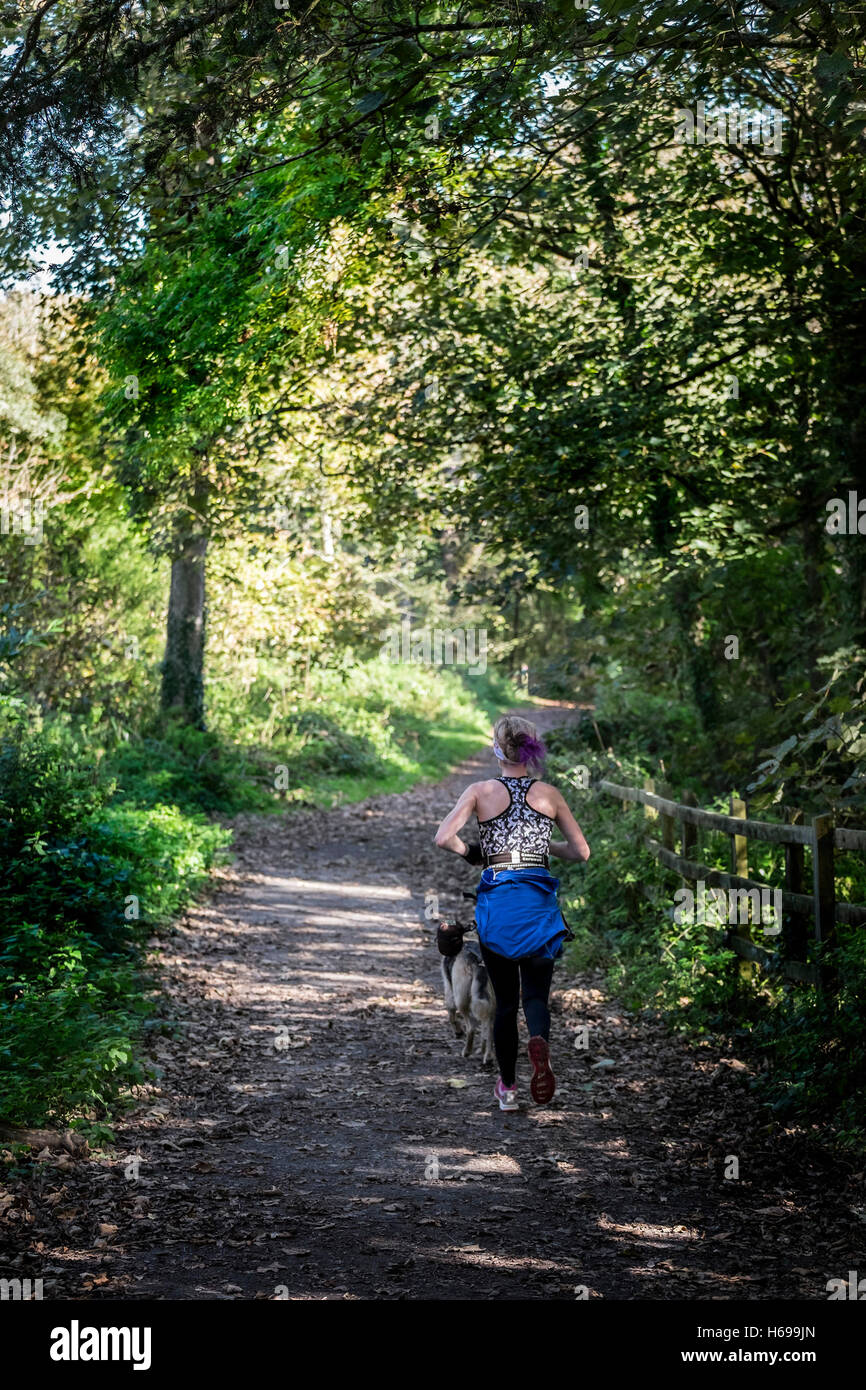 Eine Frau und ihr Hund läuft durch Tehidy Country Park in Cornwall. Stockfoto