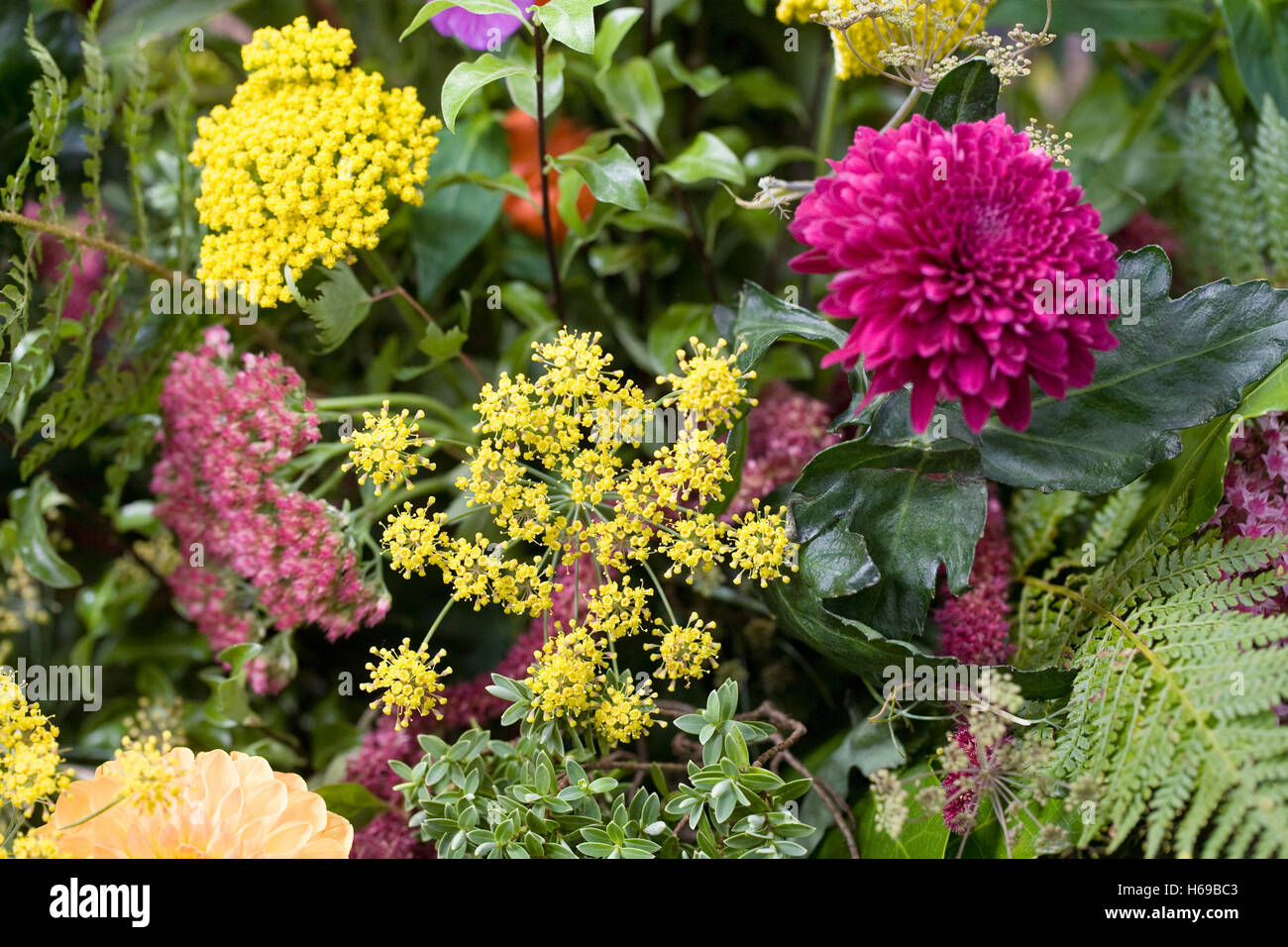 Eine Anordnung der Herbst Blumen. Stockfoto