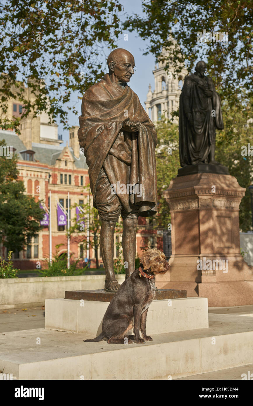 Mahatma Gandhi-Statue, London Parlament quadratisch Stockfoto