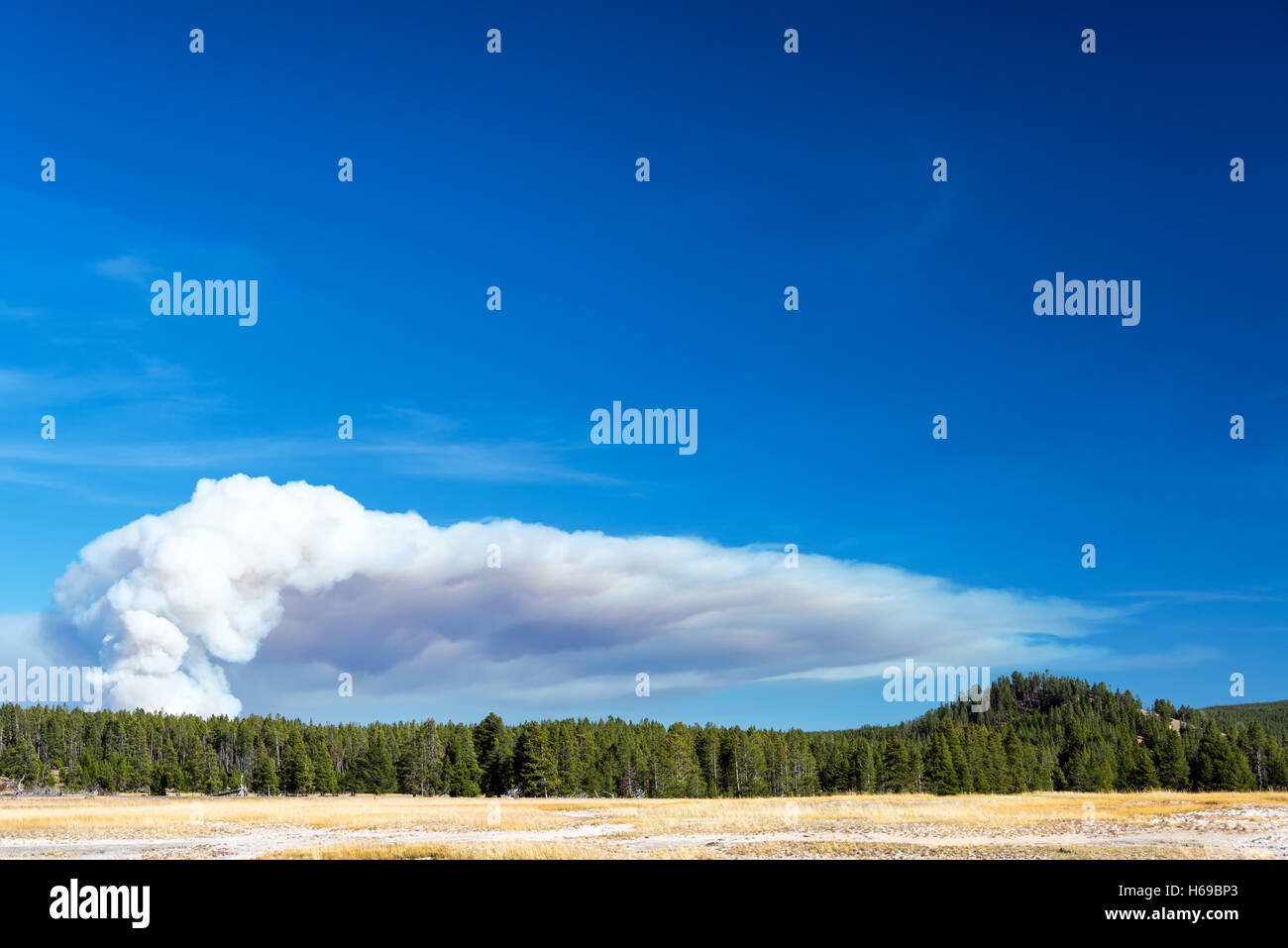 Rauch von einem Waldbrand im Yellowstone National Park Stockfoto