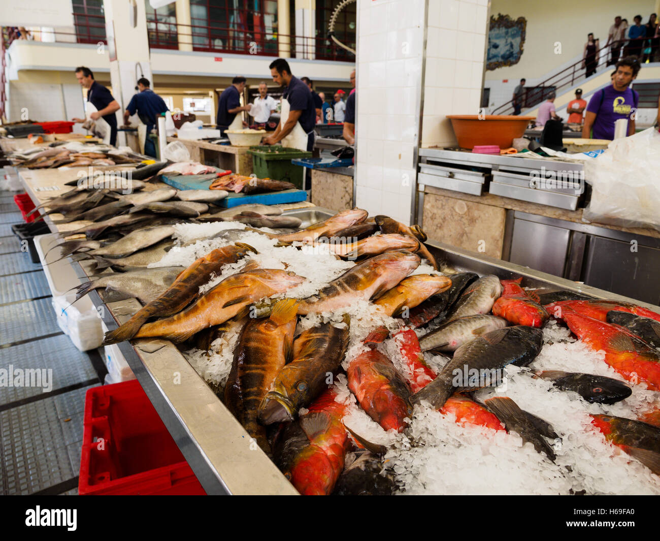 Fisch ist für den Verkauf in der Markthalle von Funchal auf der portugiesischen Insel Madeira Stockfoto