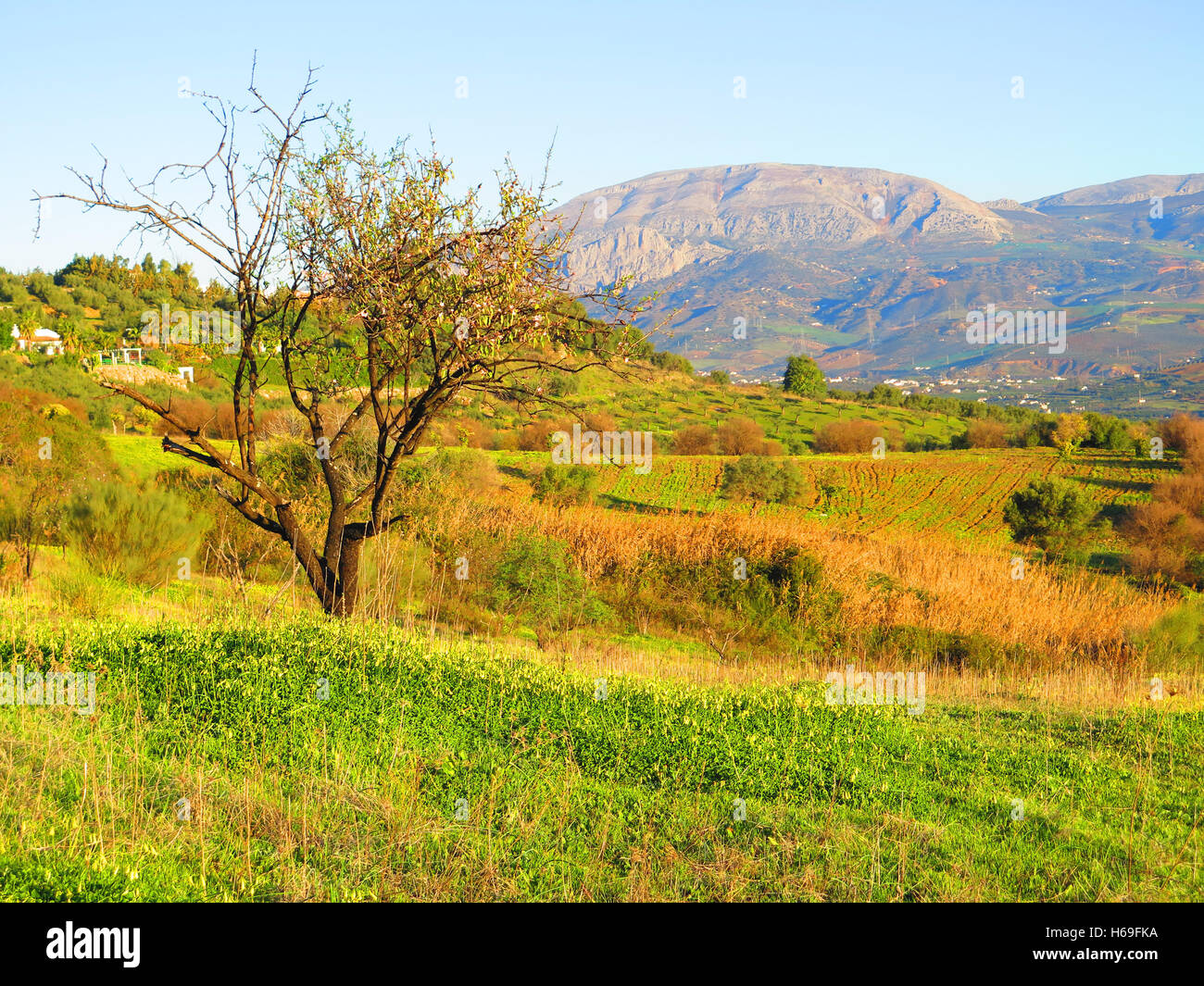 Schöne Aussicht von Sierra Huma Berg bei Sonnenschein Stockfoto