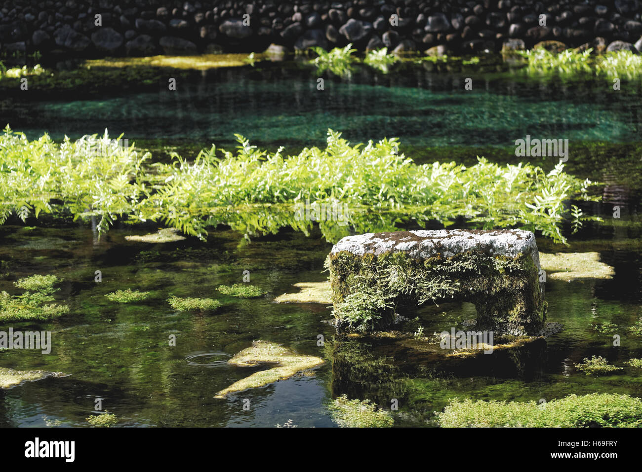Tirta Empul klaren Teich Stockfoto