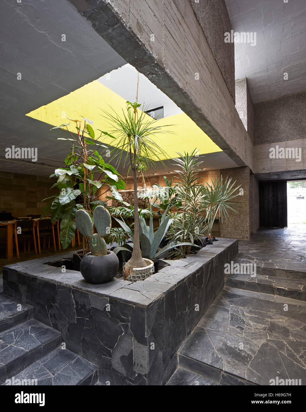 Blick Richtung Eingang mit Blick auf den zweiten Stock. Pedro Reyes Haus, Mexico City, Mexiko. Architekt: N/a, 2015. Stockfoto