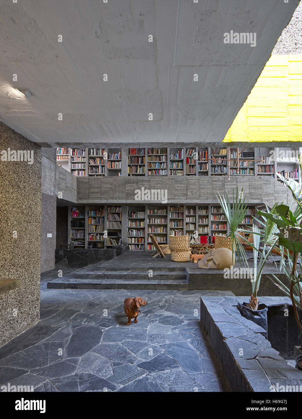 Innenansicht zeigt in zweiten Stock nichtig. Pedro Reyes Haus, Mexico City, Mexiko. Architekt: N/a, 2015. Stockfoto