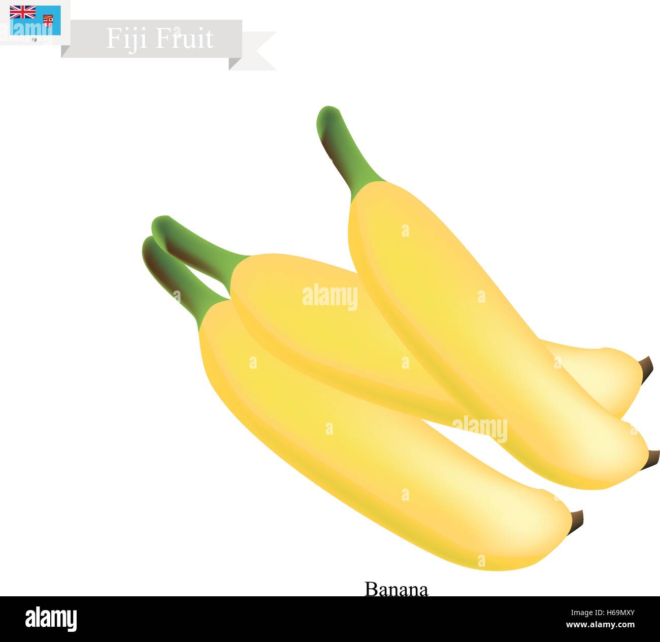 Fidschi Frucht, Illustration von Golden Banana. Eine der beliebtesten Früchte in Fidschi. Stock Vektor