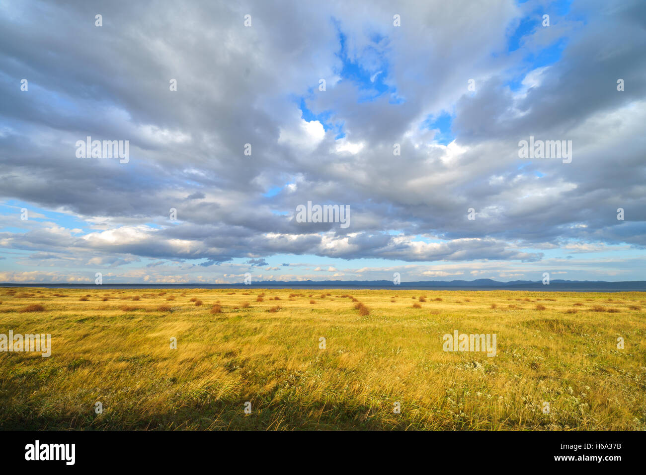 Verlassene Gebiet nahe dem Meer, die Insel Sachalin, Russland. Stockfoto