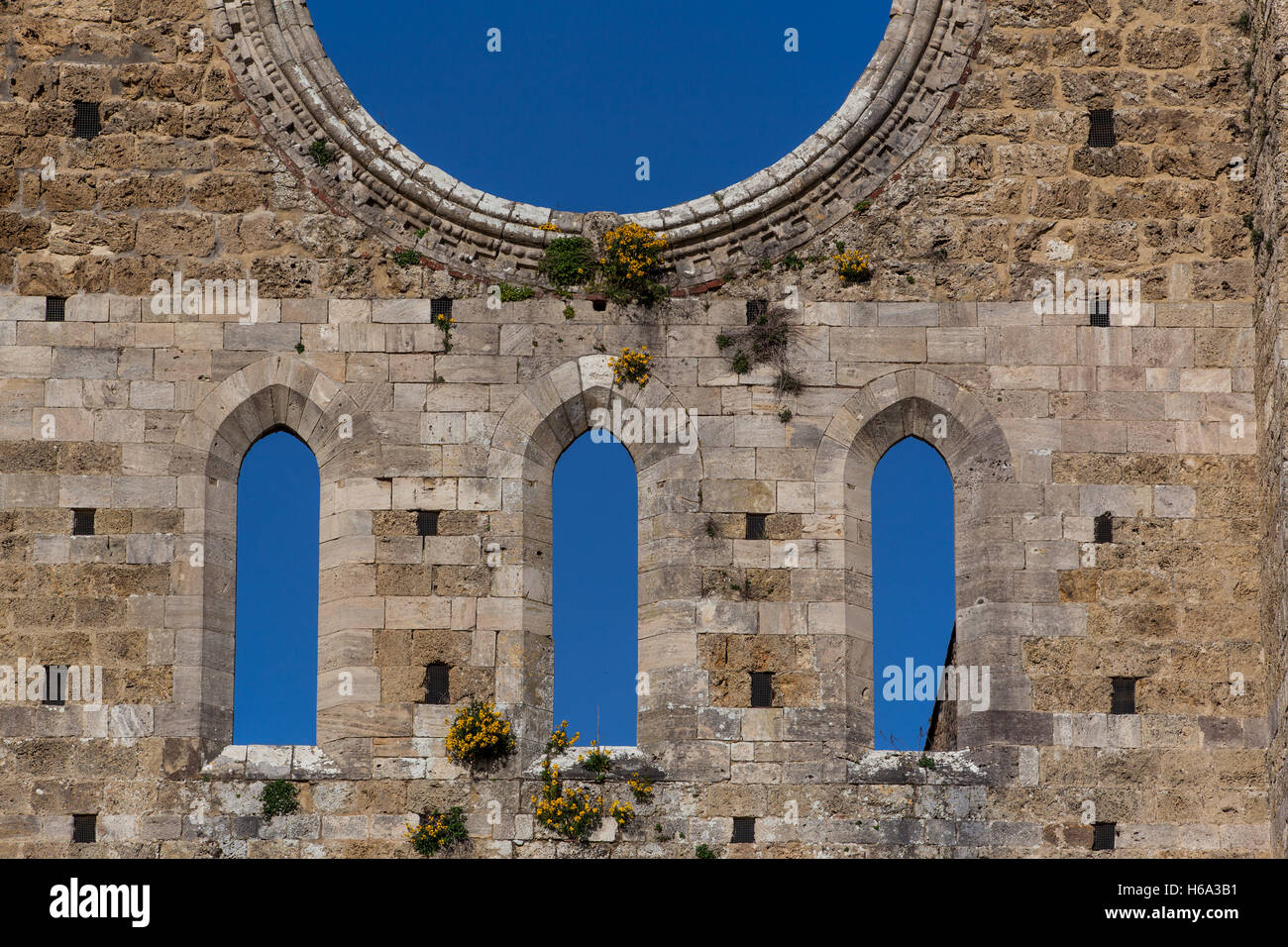 Gotischen Zisterzienser Stil der Abtei von San Galgano Provinz von Siena, Chiusdino, Toskana, Italien Stockfoto